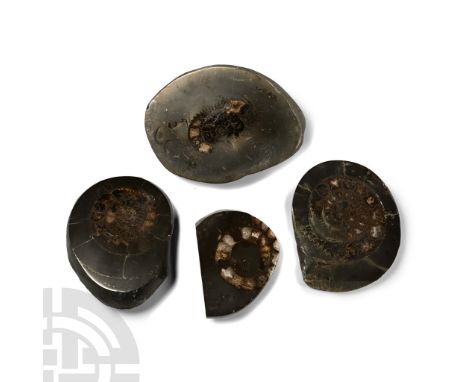Lower Jurassic Period, Toarcian Stage, circa 180 million years B.P. Comprising four cut and polished pebble sections, each co