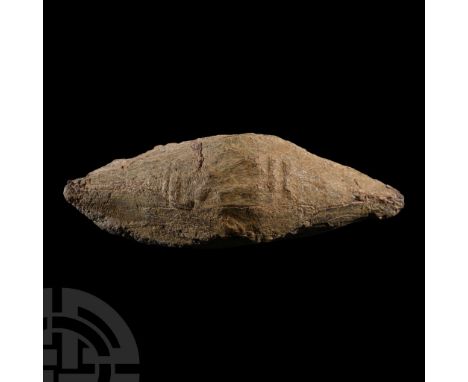 1st century B.C. Fusiform with pointed ends, reserved 'LXIII' (LEGIO XIII = 13th Legion) legend. Cf. D'Amato, R. and Sumner, 