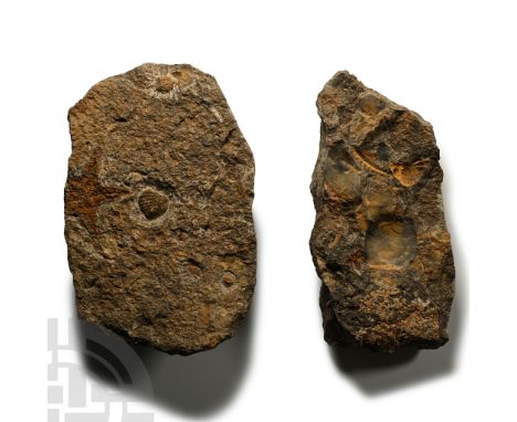 Ordovician Period, circa 485-444 million years B.P. Comprising two matrices with a Petraster sp. specimen on each with some o
