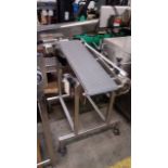 10 in wide X 36 in long Mat Chain Conveyor, all stainless steel construction, stainless steel