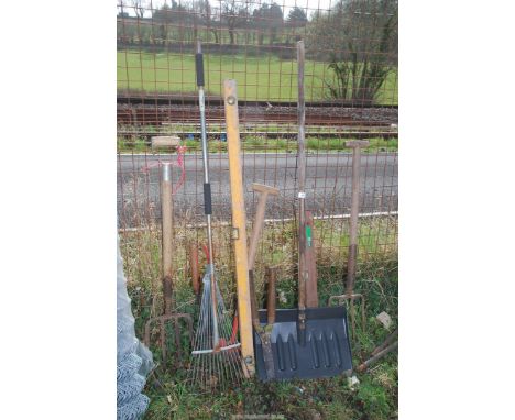 Quantity of garden tools, snow shovels, rakes, fork, etc.