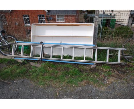 Eleven rung Aluminium extension ladder.