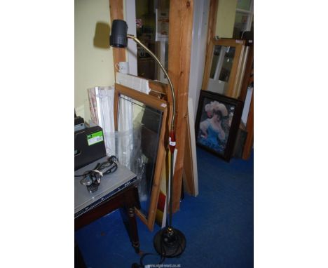 Floor standing adjustable lamp.