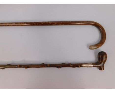 A Victorian hazel wood walking stick with a white metal belt collar, 83.5cm long, and a further walking stick, silver tipped,