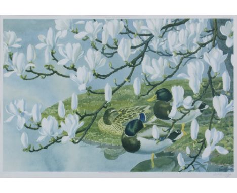 C F TUNNICLIFFE; a print 'Mallard and Magnolia' of ducks beneath a tree by a pond, signed to the border and within the print 