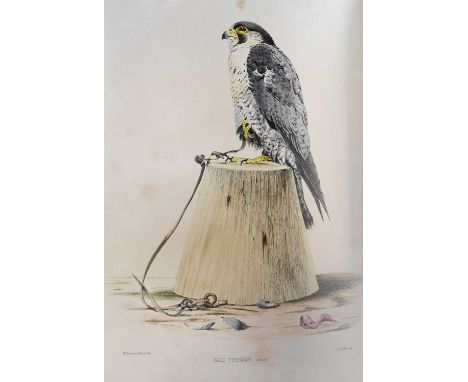 Salvin (Francis Henry and William Brodrick).Falconry in the British Isles.London: John Van Voorst, 1855, first edition, prese