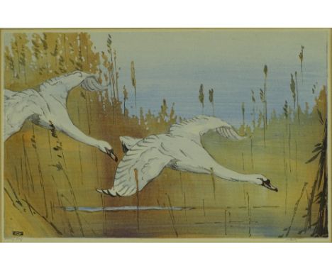 Allen William Seaby, colour wood-cut print, swans in flight, signed in pencil, plate size 8.5" x 13.5", framed.