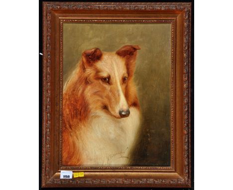George Brownlow - a portrait of a collie dog, signed, oil on board, 31.5 x 24cms; 12 3/8 x 9 3/8in.