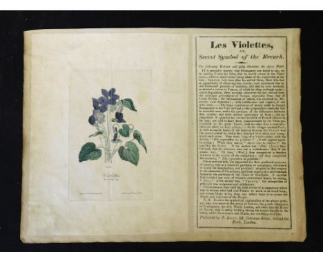 LES VIOLETTES OR SECRET SYMBOL OF THE FRENCH, hand coloured print of violets containing the profiles of Napoleon, Maria Louis