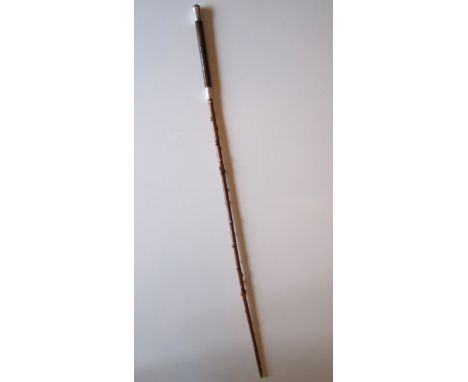 Antique Swagger Stick or Whip. Leather handle with silver mounts, knobbled wooden shaft. Late 19th or early 20th century. Len