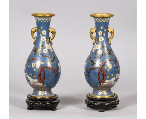 A pair of early 20c Japanese cloisonne baluster vases of blue ground, decorated with finches in blossom and having elephant h