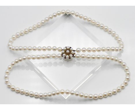 A two row uniform cultured pearl necklace, approx. Pearl size: 8.00mm, approx. length: 42cm, with 10.00mm yellow gold culture