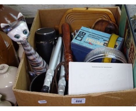 A cat, Eddie Stobart lorries, and camera equipment etc