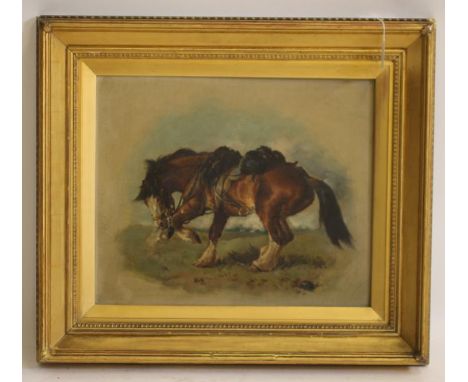 WILLIAM WOODHOUSE (1857-1939), Portrait of a Horse, oil on board, signed, 15" x 18", gilt frame