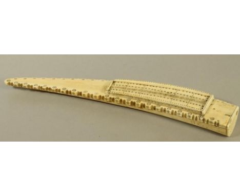 A WALRUS TUSK SCRIMSHAW CRIBBAGE BOARD, 19th century, the half tusk with chip carved border enclosing the oblong pierced boar