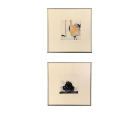 Susan Norrie 'Flamingo' 1989 ed. 31/60 signed, dated and editioned etching. Susan Norrie 'Mole' 1989 ed. 31/60 signed, dated 