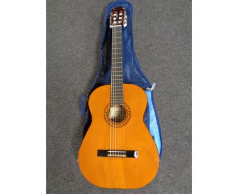 A Hohner MC-05 acoustic guitar in Ritter carry bag 