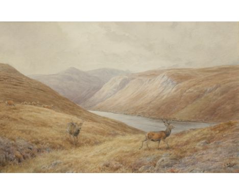 •VINCENT R. BALFOUR BROWNE (1880-1963) 'THE STEPPED CLEAR FOR THE A MOMENT' monogrammed and dated 1950 lower right, watercolo