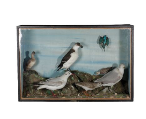 LATE 19TH CENTURY MIXED CASE OF BIRDS BY W.J. WILLMOTT TAXIDERMIST, POOLE in glass fronted case, naturalistic setting, post c