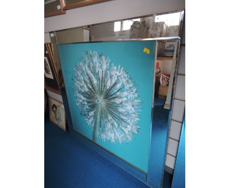 A modern artwork, Dandelion clock, photographic and heightened on glass