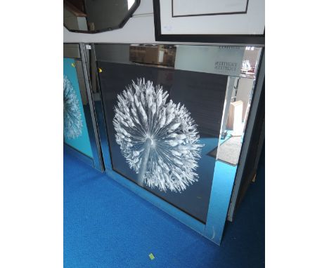 A modern artwork, Dandelion clock, photographic and heightened on glass