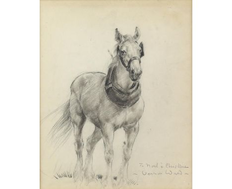 Vernon de Beauvoir Ward (British, 1905-1985). Portrait of a Heavy Horse. Dedication inscription and signed lower right. Charc