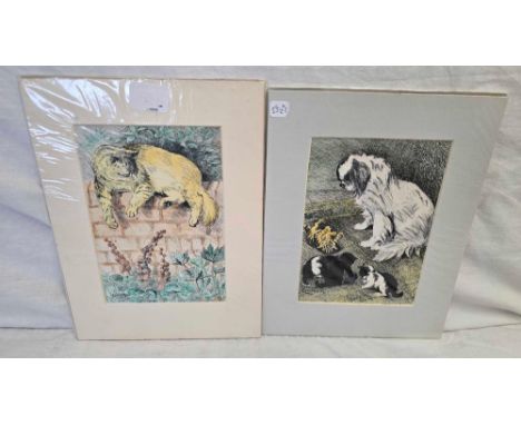 LOUIS WAIN. 2 HAND COLOURED PRINTS OF CATS AND DOGS CIRCA 1910. SIGNED  10 X 8”