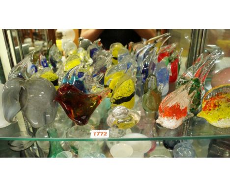 A quantity of coloured glass fish form paperweights; together with others similar, (one shelf).