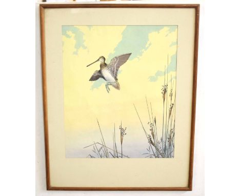 R Jacob (20th Century), Snipe in Flight, watercolour, signed lower right, 42 x 34cm  