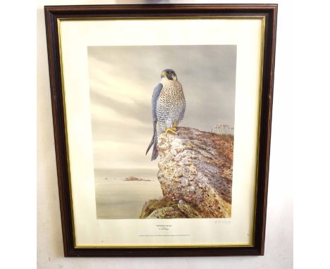 R David Digby (B1936) "Peregrine Falcon", "Red Kite" and "Goldie - The Golden Eagle", 3 coloured prints, published circa 1989