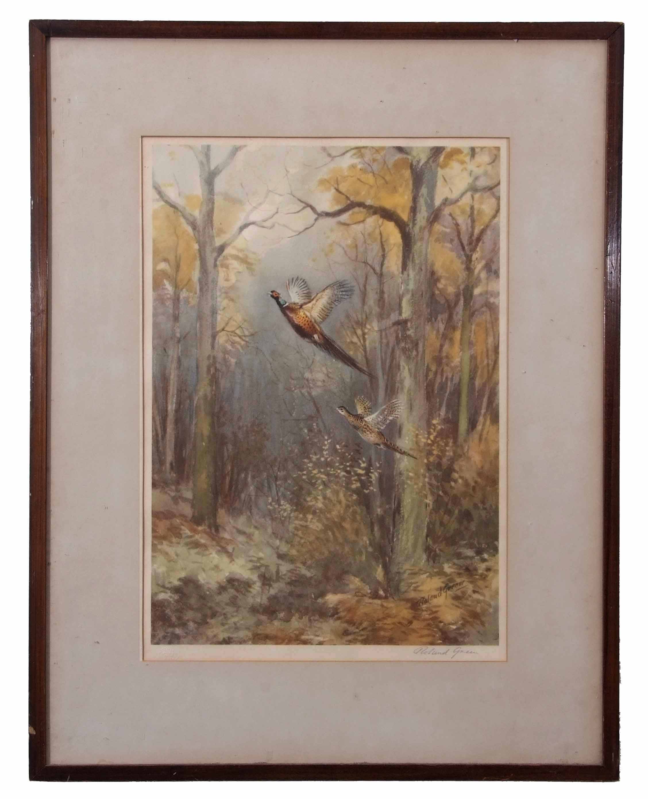 AR Roland Green (18961972), Pheasant alighting, coloured artist's