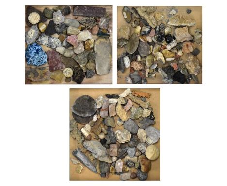 Large collection of assorted geological, mineral and fossil specimens to include; examples with inscribed labels dating from 
