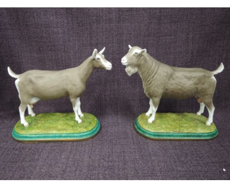 Two hand made ceramic John Stanbridge studies, Dutch Toggenburg Dairy Male and Female Goats, both made for the vendor after 2
