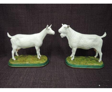 Two hand made ceramic John Stanbridge studies, Saanen Dairy Male and Female Goats, both made for the vendor after 2005 show w
