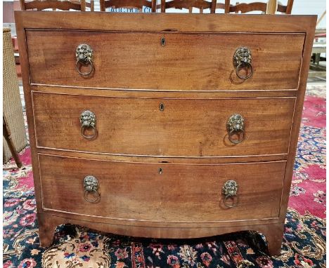 Late 19th/early 20th century bowfront mahogany chest of drawers having three long drawers, each with two brass lion head ring