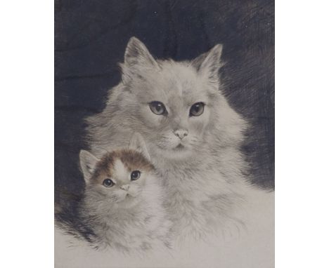 Kurt Meyer-Eberhardt (1895-1977), coloured etching, Cat and kitten, signed in pencil, overall 40 x 31cm