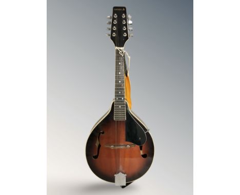 A Samick mandolin 