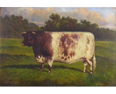 William Albert Clark (1899-1936), portrait of a prize Heifer in a field, signed oil dated 1917, label verso 'Windsor Gem', 34