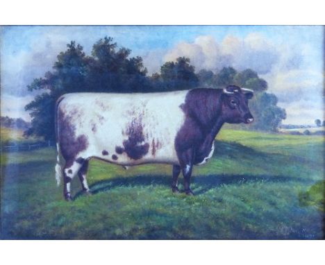 William Albert Clark (1899-1936), portrait of a prize bull in a field, signed oil dated 1917, titled on gilt slipper mount 'G