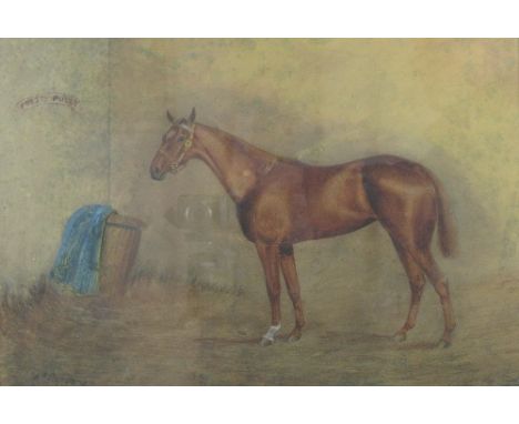 H. W. Standing (19th/20th century), 'Pretty Polly', portrait of a horse in a stable, signed watercolour dated 1904, 34cm x 50