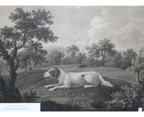 ~ John Milton (British, fl.1767-1776) ''The English Setter'', engraving by T Cook and S Smith, image 390mm by 525mm  The dog 