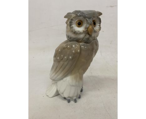 A NAO FIGURE OF A SHORT EARED OWL