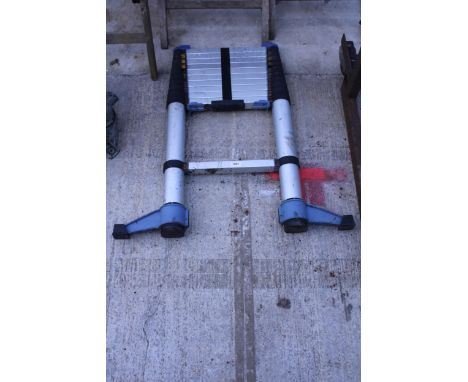 AN ALUMINIUM EXTENDING LADDER