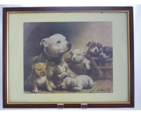 Anthony Pitt Advertising Print depicting a family of Bull Mastiff Dogs, 38 x 30 cms, together with a Coronation Vintage Cadbu