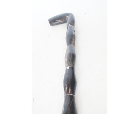 Antler walking stick 