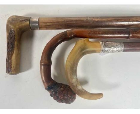 A Victorian horn handled walking stick having a silver collar, length 85cm, together with two others