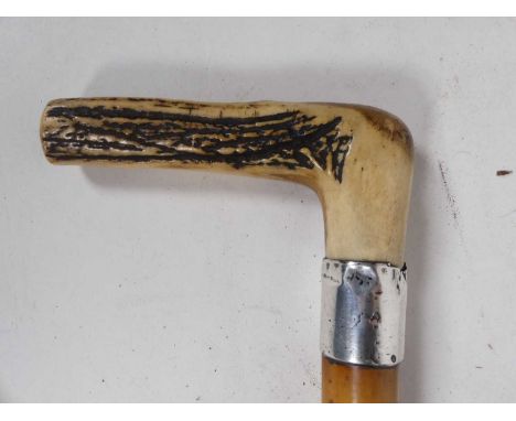 An antler handled walking stick with silver collar