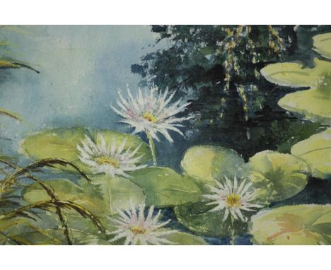 A framed and glazed watercolour, water lillies, signed June Wilkinson. H.50 W.59cm. 
