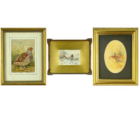 ‡ JAMES STINTON (British, 1870-1961) watercolour studies - cock and hen pheasant, 13.5cms h (oval), pair partridge, 9.5 x 13c