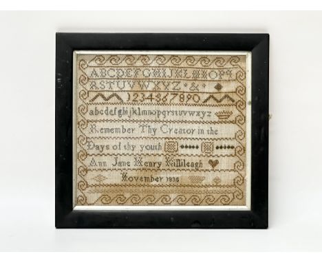An Early 19th Century, William IV Irish sampler. Ann Jane Henry. November 1835. In later frame 32x29cm